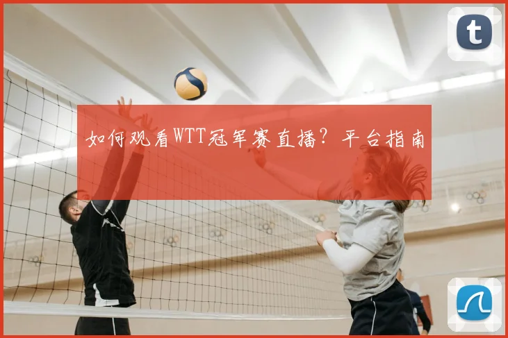 如何观看WTT冠军赛直播？平台指南