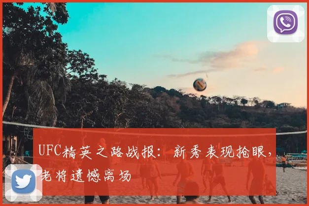 UFC精英之路战报：新秀表现抢眼，老将遗憾离场