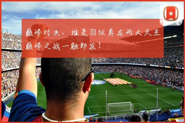 巅峰对决，谁是羽坛真龙两大天王巅峰之战一触即发！