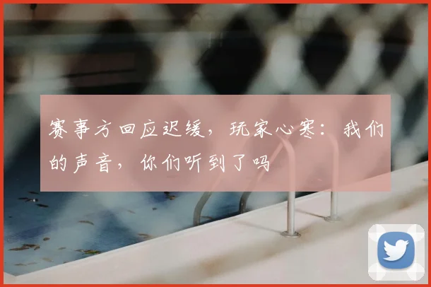 赛事方回应迟缓，玩家心寒：我们的声音，你们听到了吗