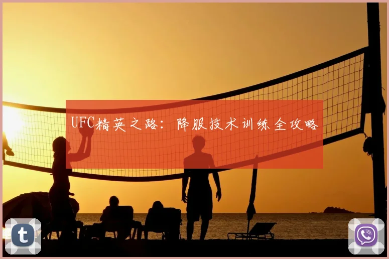 UFC精英之路：降服技术训练全攻略