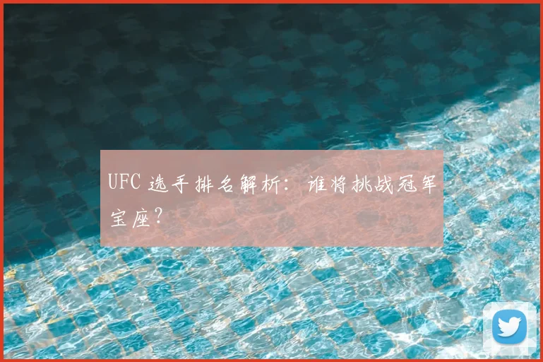UFC 选手排名解析：谁将挑战冠军宝座？