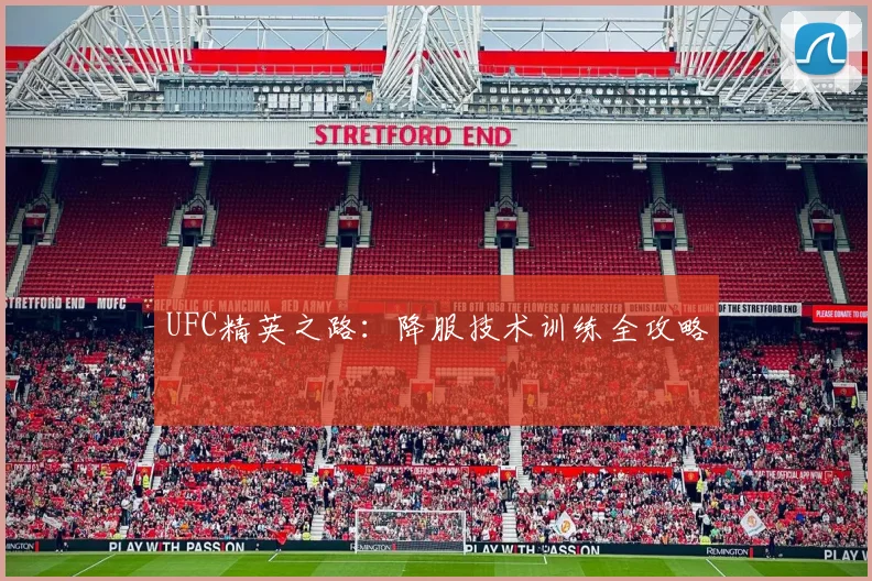 UFC精英之路：降服技术训练全攻略