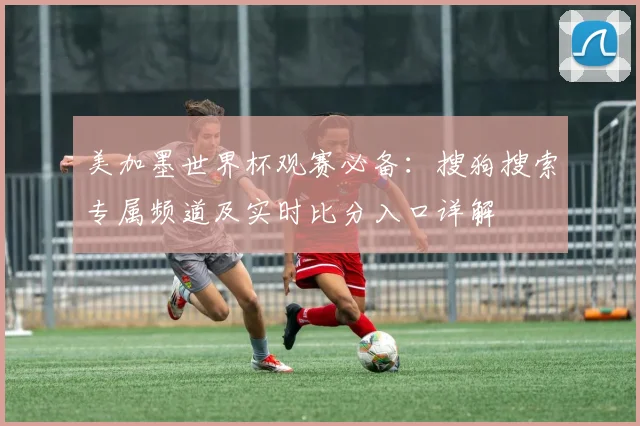美加墨世界杯观赛必备：搜狗搜索专属频道及实时比分入口详解