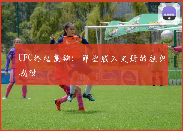 UFC终结集锦：那些载入史册的经典战役