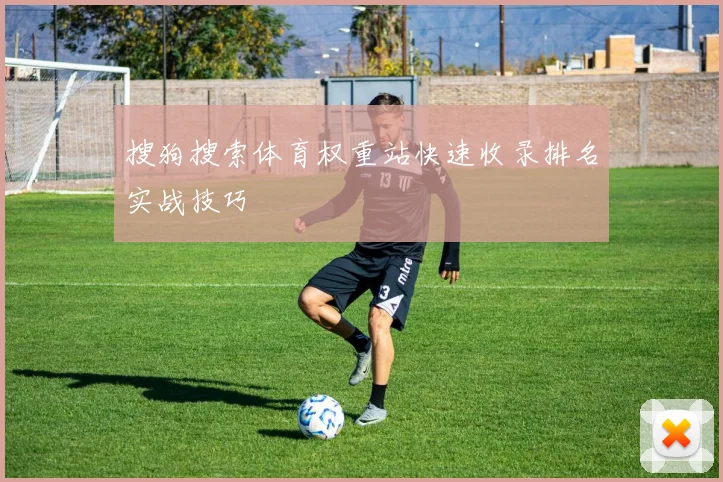 搜狗搜索体育权重站快速收录排名实战技巧