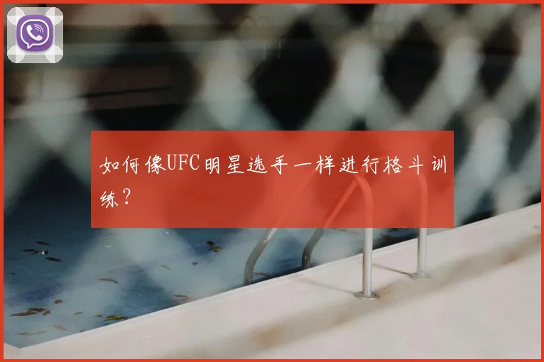 如何像UFC明星选手一样进行格斗训练？