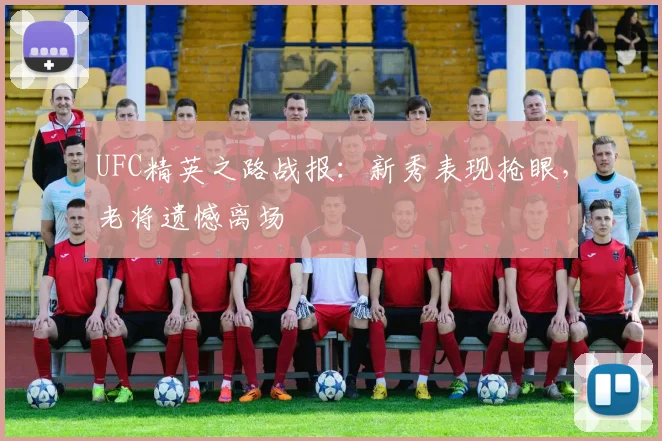 UFC精英之路战报：新秀表现抢眼，老将遗憾离场