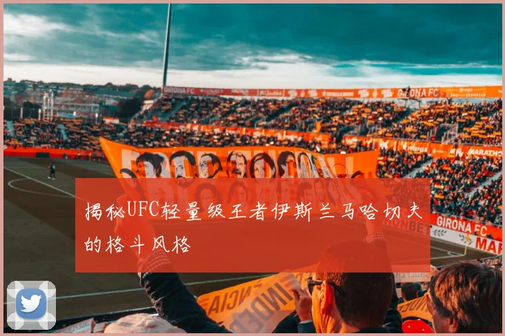 揭秘UFC轻量级王者伊斯兰马哈切夫的格斗风格