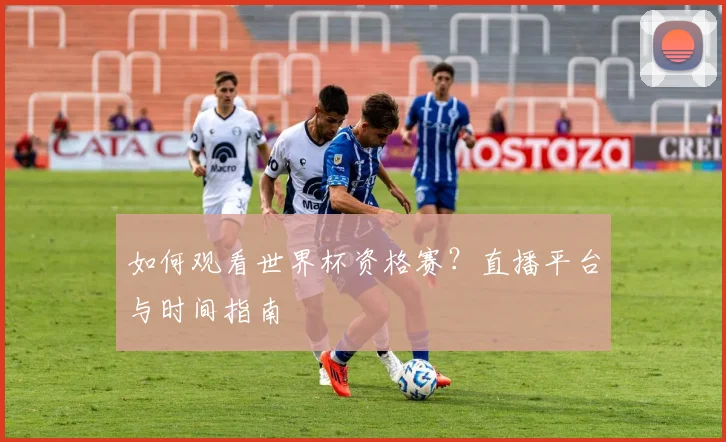 如何观看世界杯资格赛？直播平台与时间指南