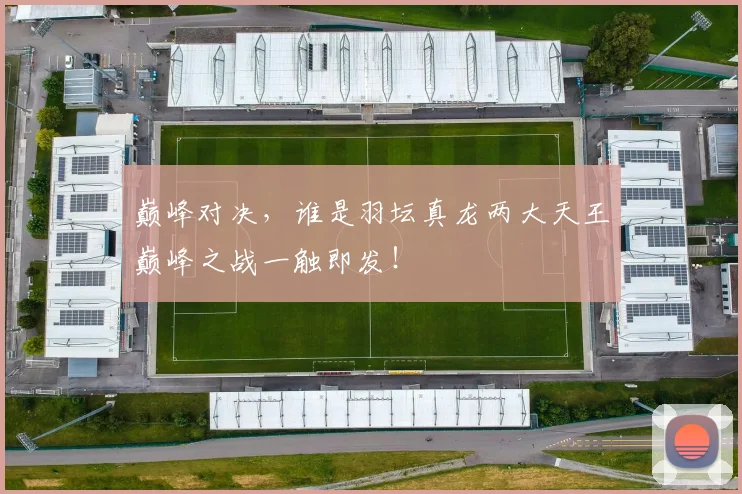 巅峰对决，谁是羽坛真龙两大天王巅峰之战一触即发！