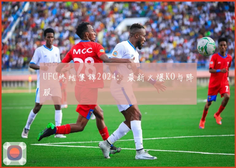 UFC终结集锦2024：最新火爆KO与降服