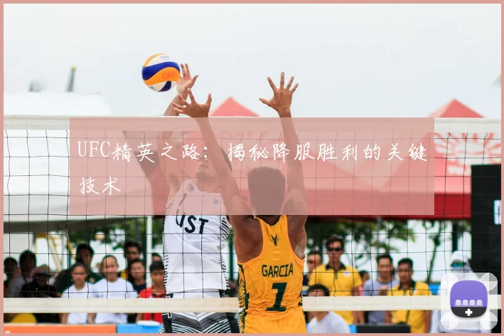 UFC精英之路：揭秘降服胜利的关键技术
