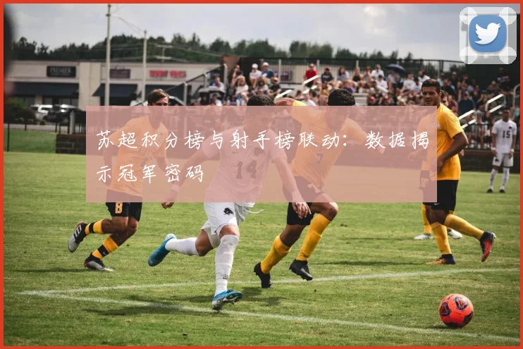 苏超积分榜与射手榜联动：数据揭示冠军密码