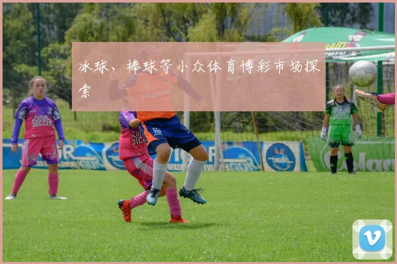冰球、棒球等小众体育博彩市场探索